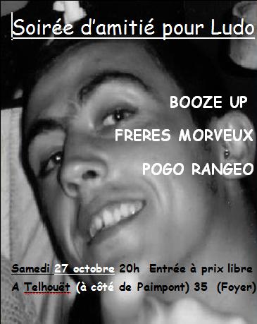 Concert pour Ludo &agrave; telhouet